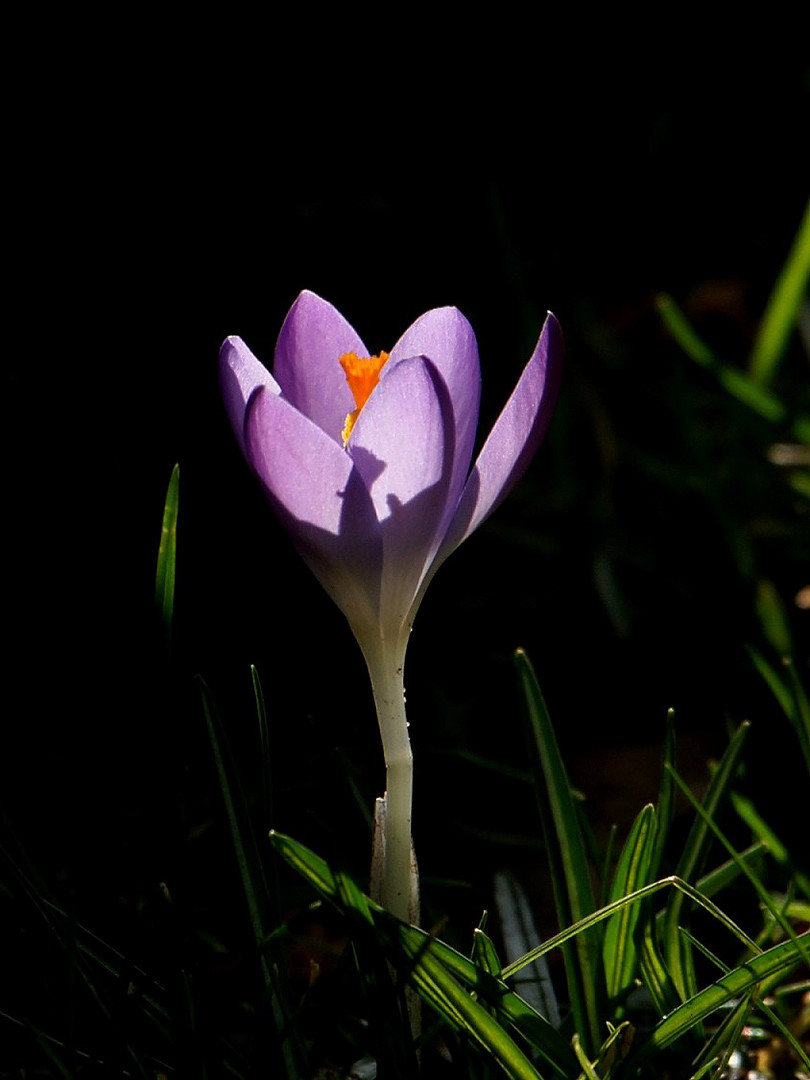 Licht und Schatten.