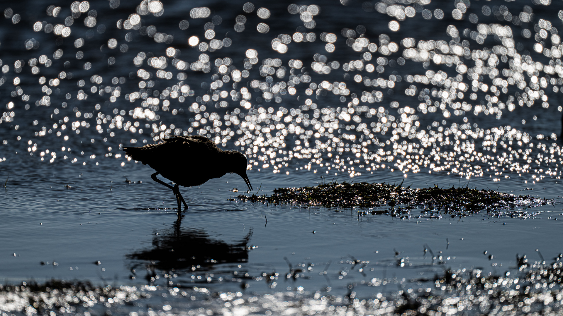 Licht und Schatten