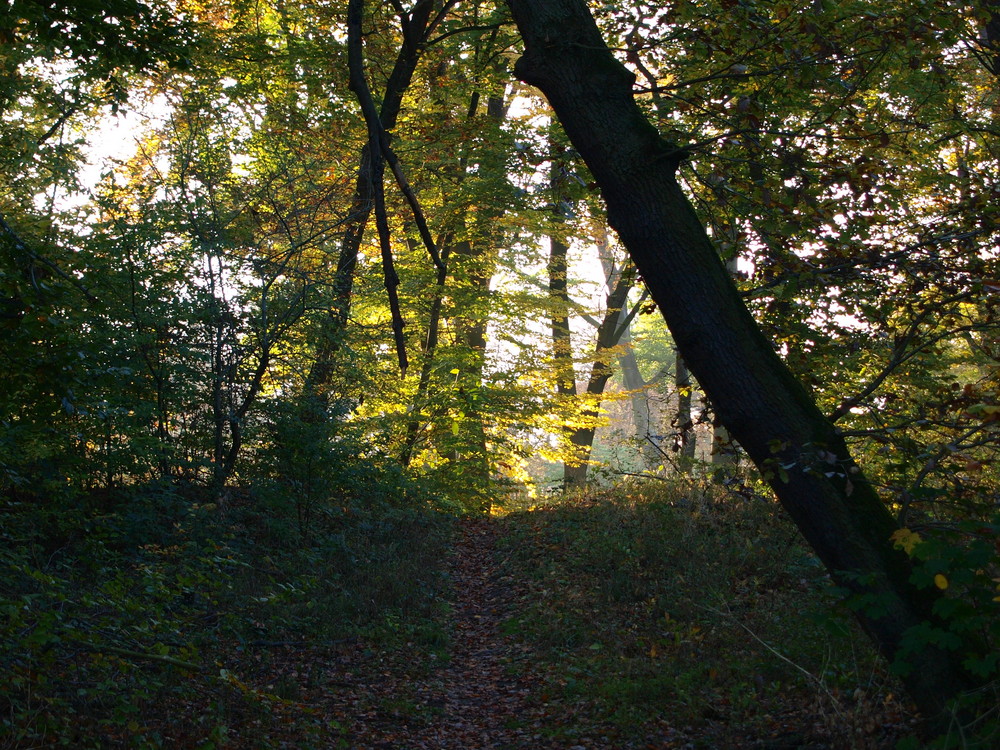 Licht und Schatten