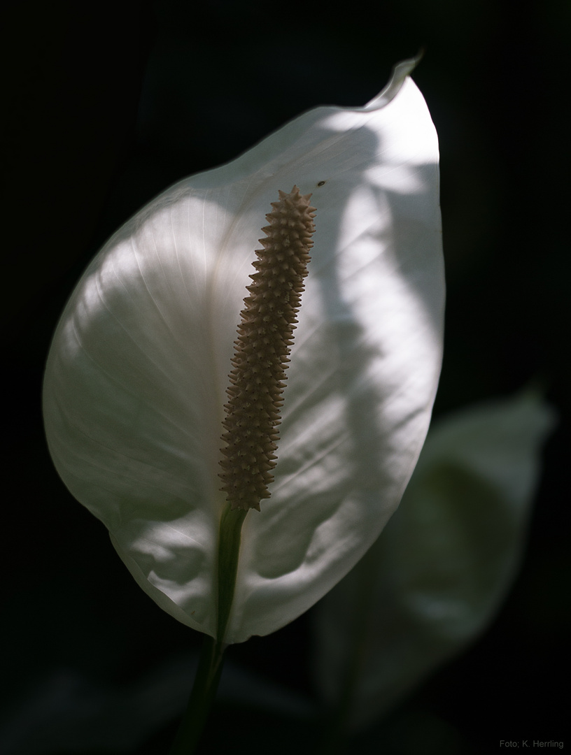 Licht und Schatten