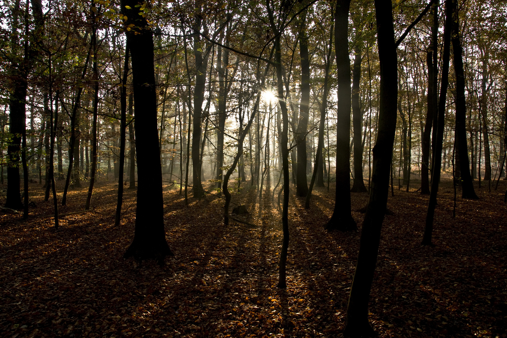 Licht und Schatten