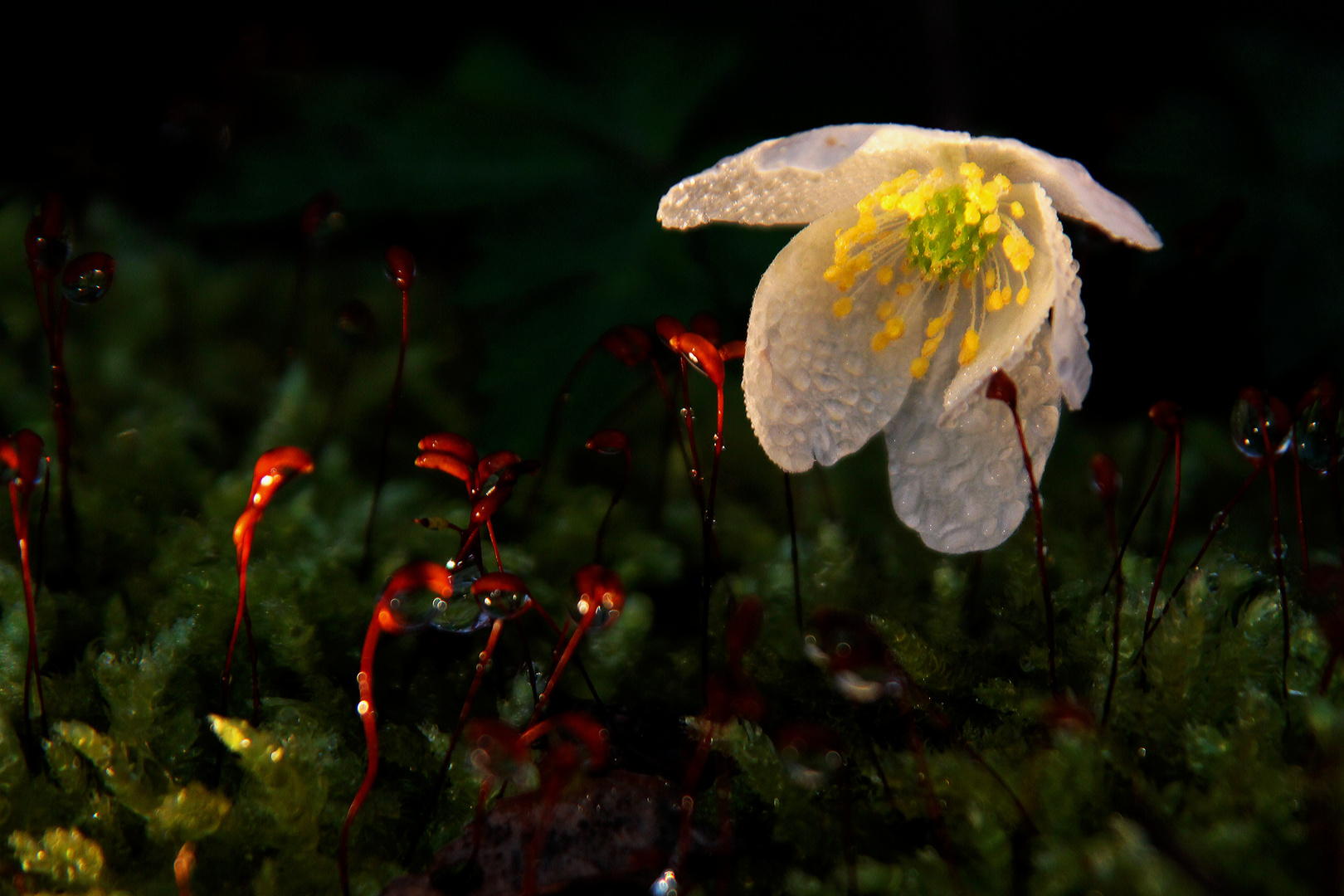 Licht und Schatten