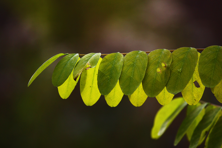 Licht und Schatten