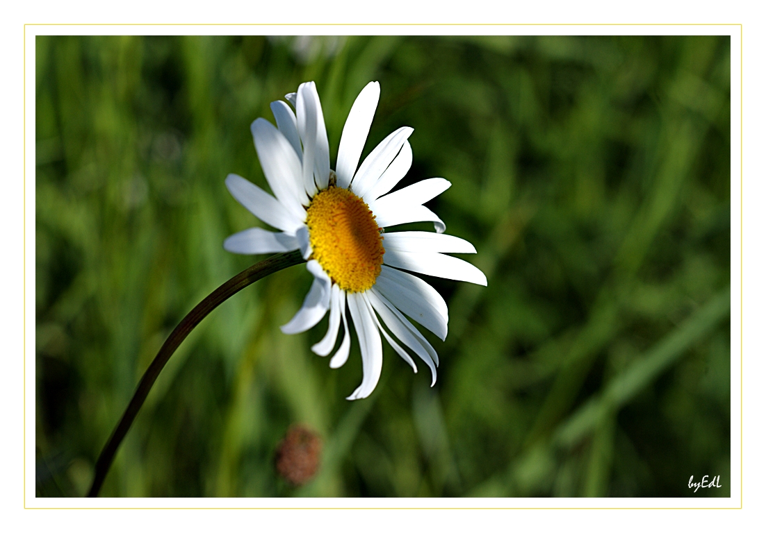 Licht und Schatten