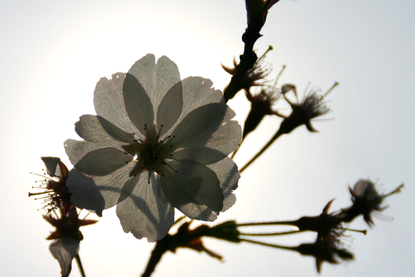 -licht und schatten-