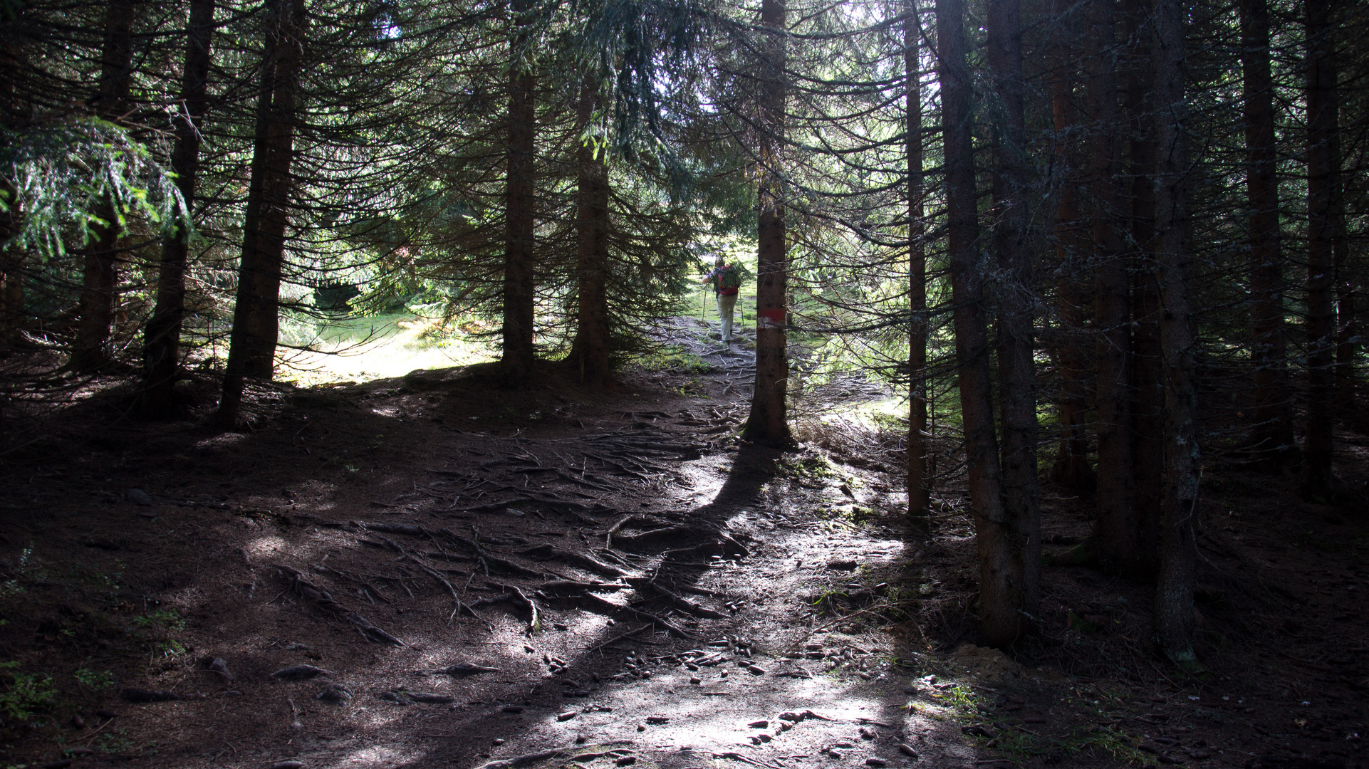 licht und Schatten