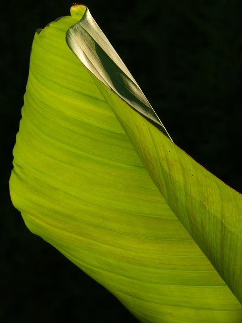 Licht und Schatten