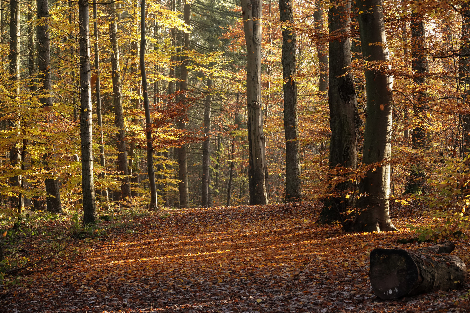 Licht und Schatten