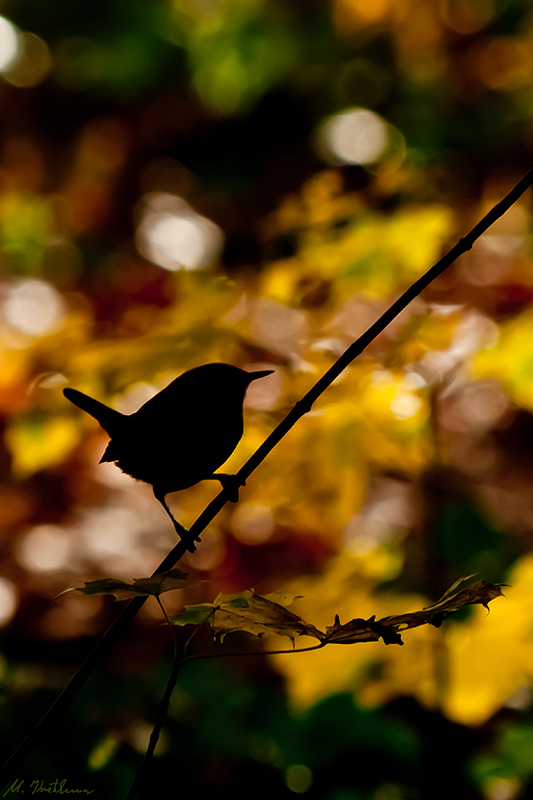 Licht und Schatten...