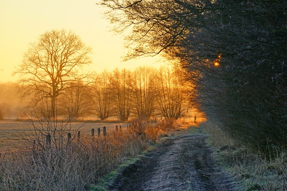 Licht und Schatten