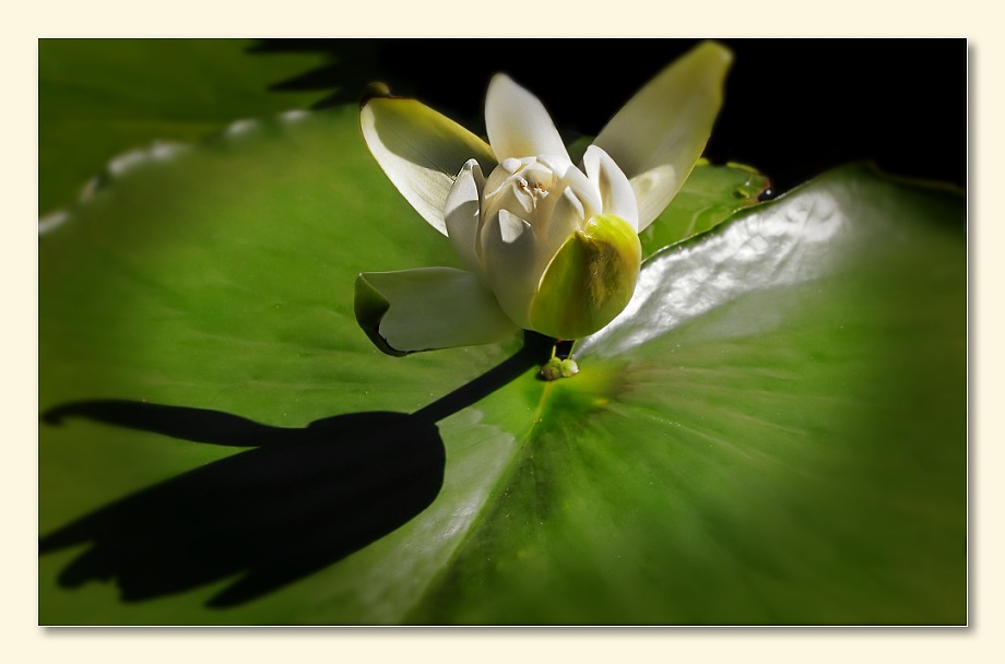 Licht und Schatten