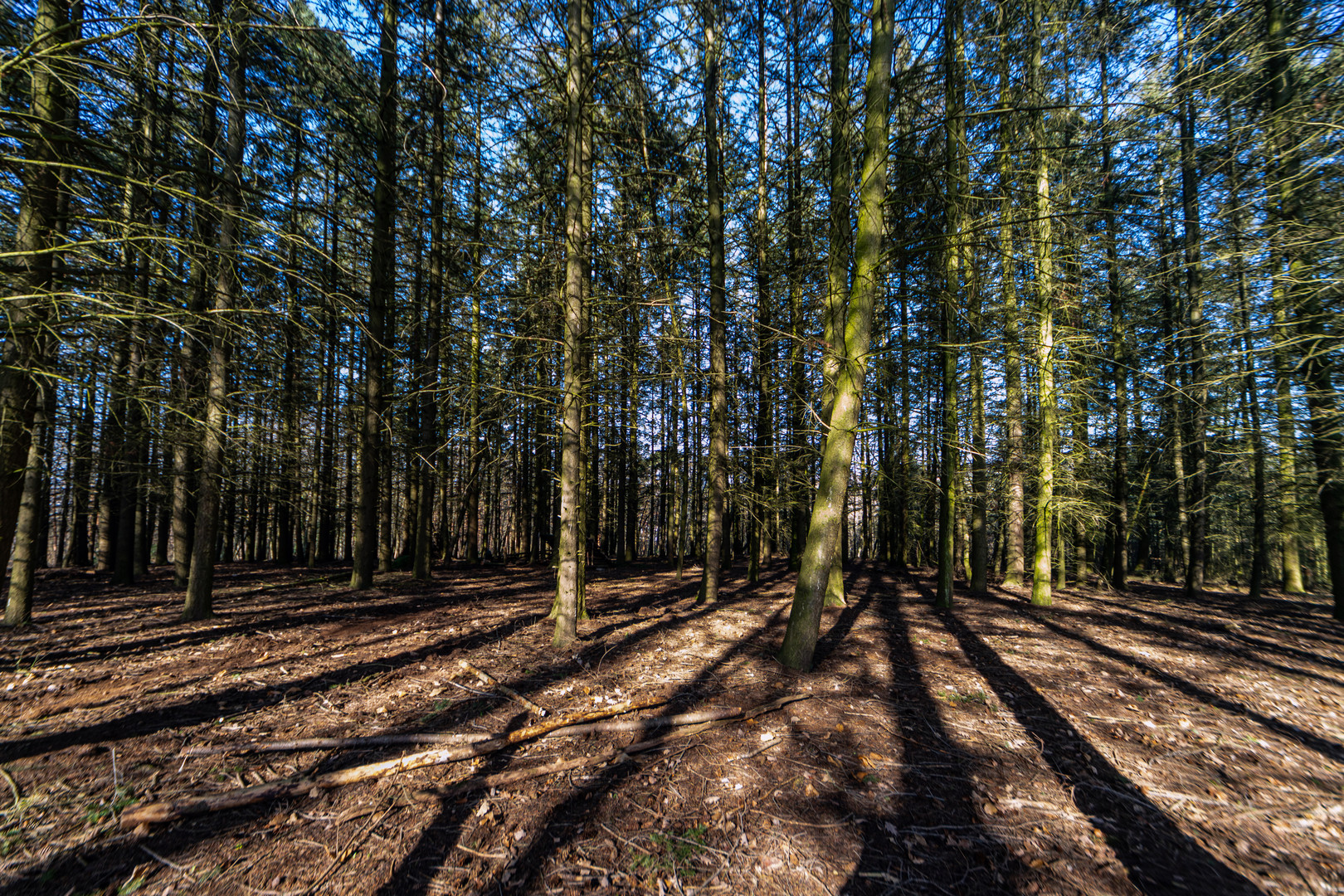 Licht und Schatten