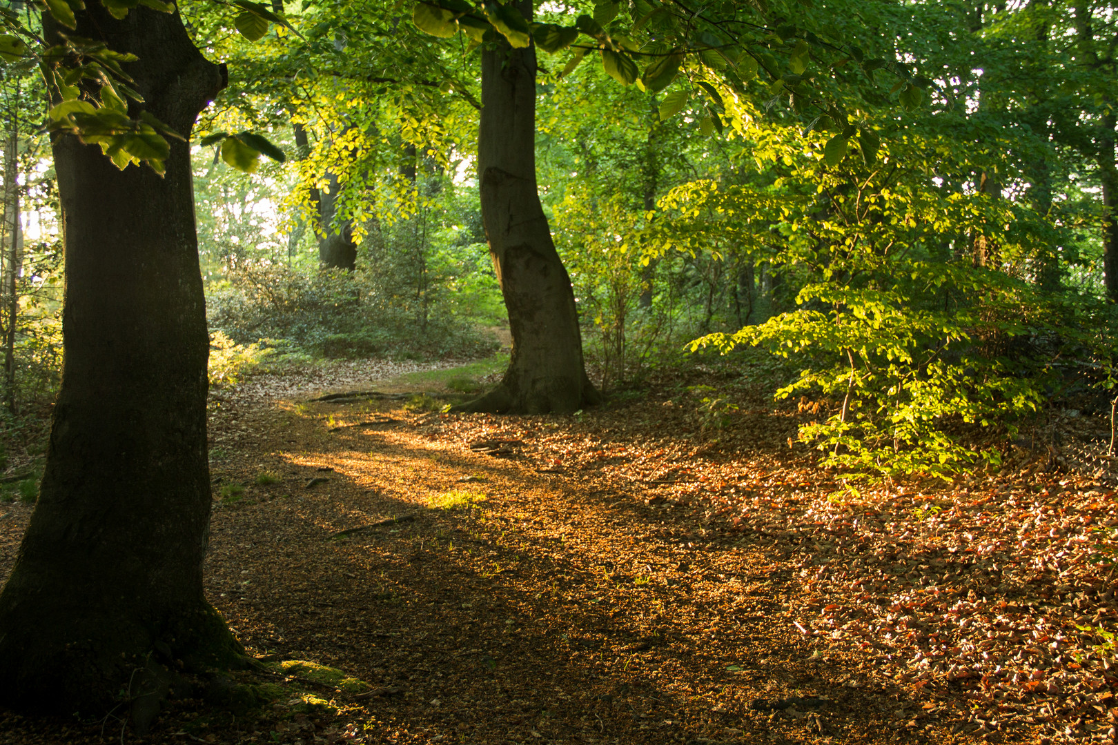 Licht und Schatten