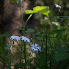 Licht und Schatten