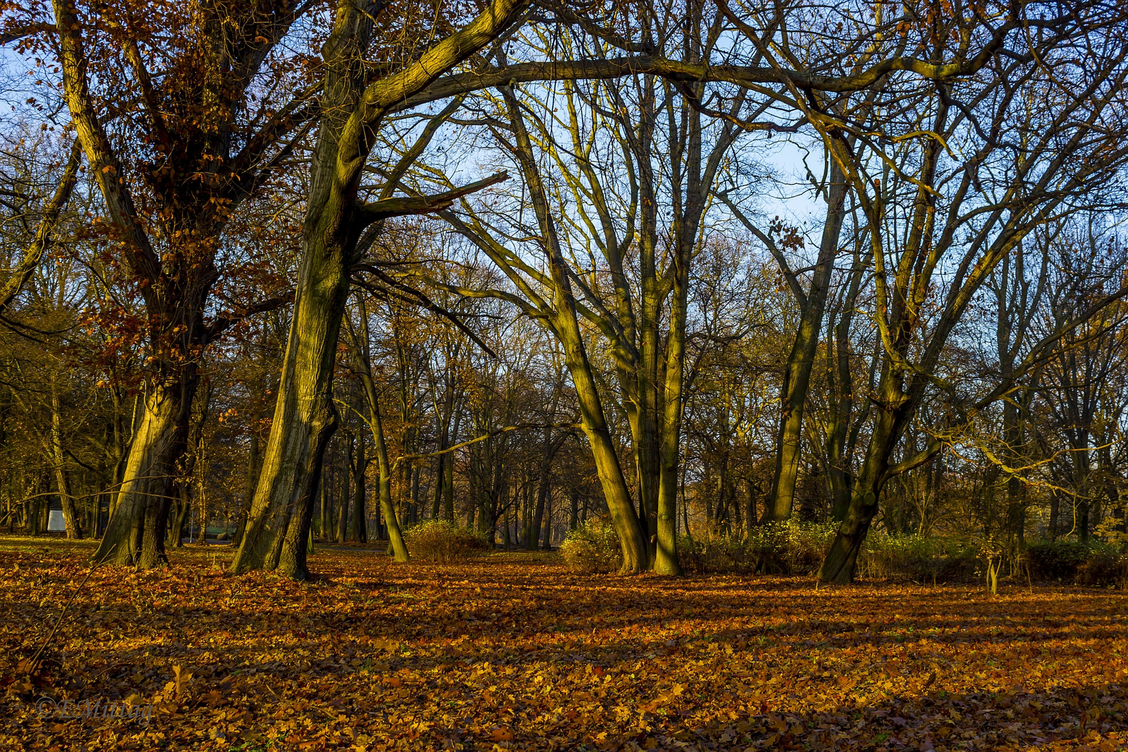 Licht und Schatten