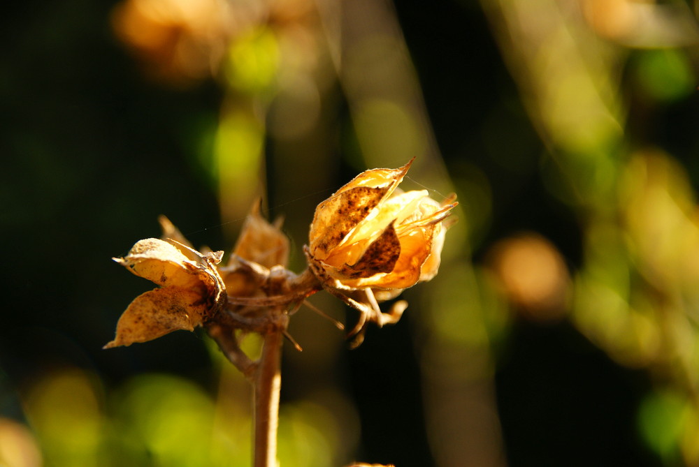 Licht und Schatten