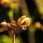 Licht und Schatten