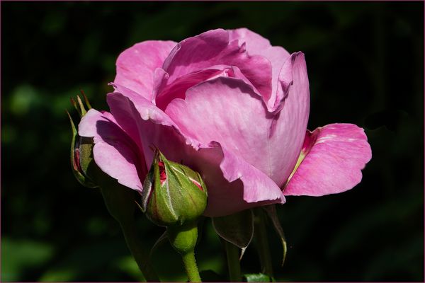 Licht und Schatten....