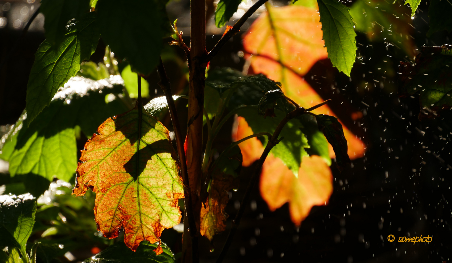 Licht und Schatten