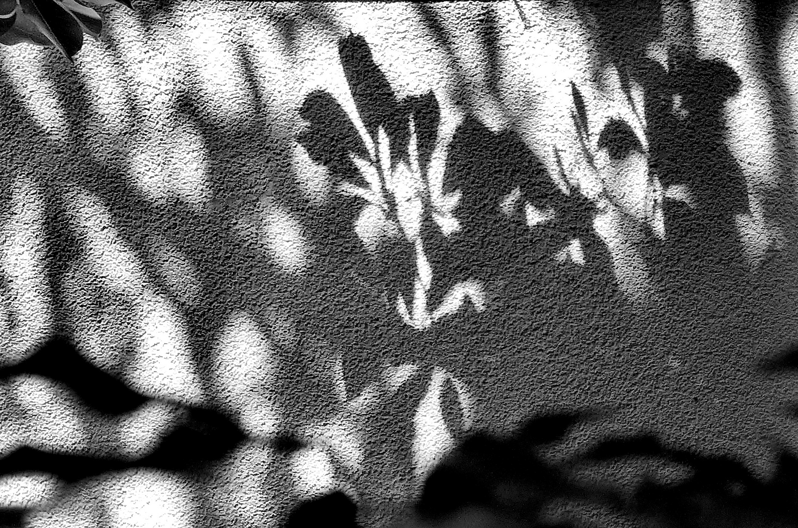 Licht- und Schatten 