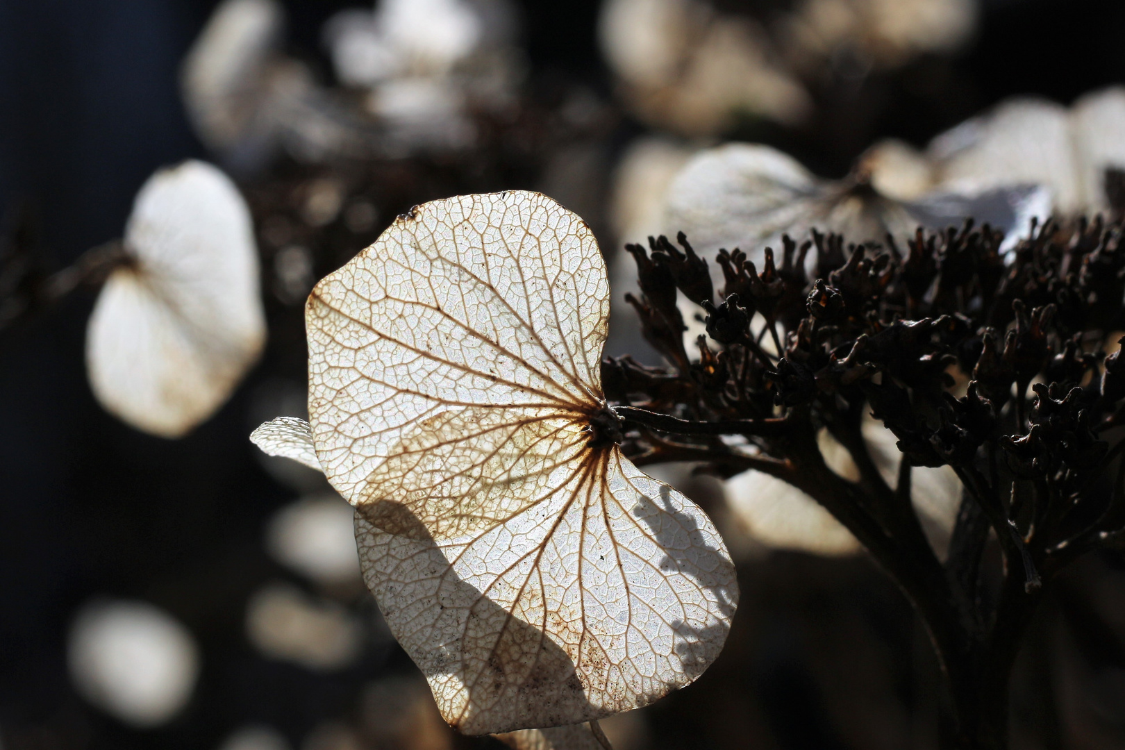 Licht und Schatten