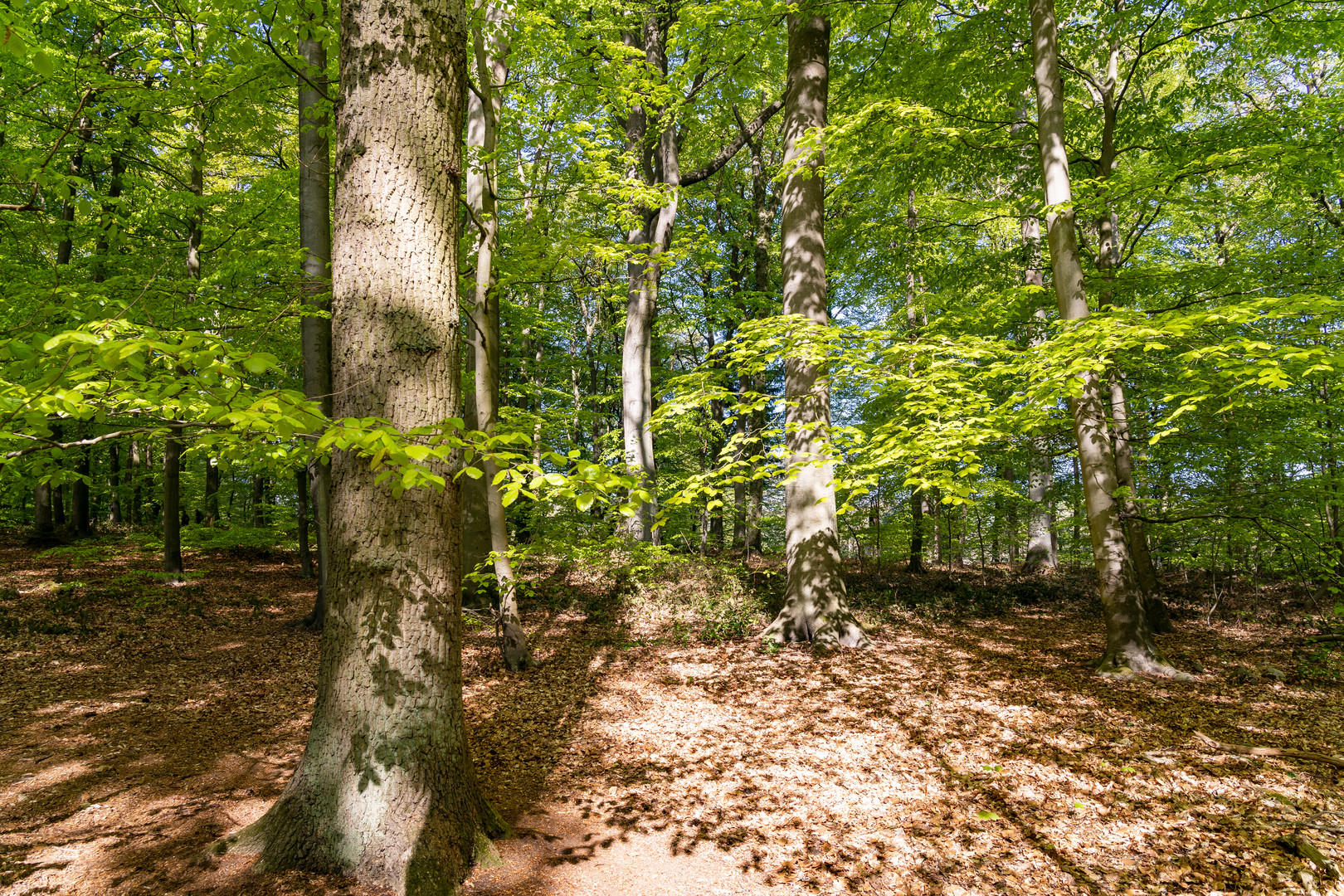 Licht und Schatten