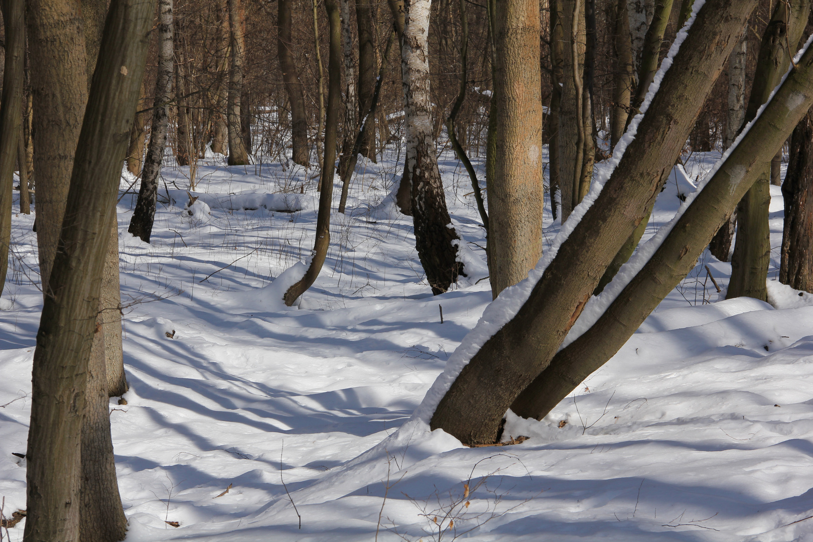 Licht und Schatten