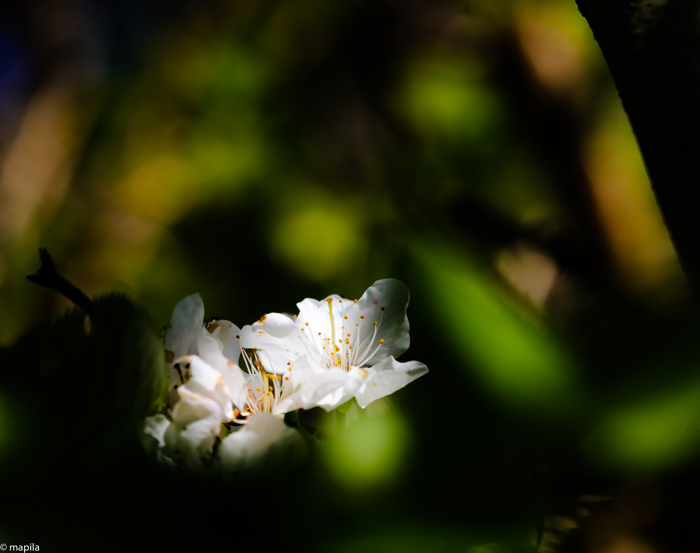 ... Licht und Schatten ...