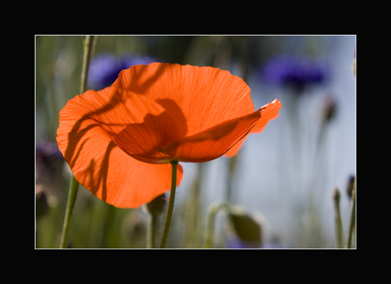 - Licht und Schatten -