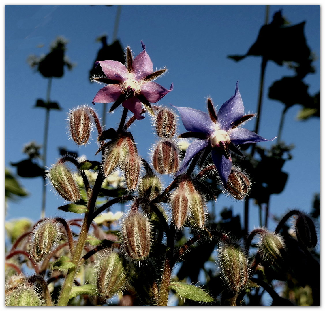 Licht und Schatten