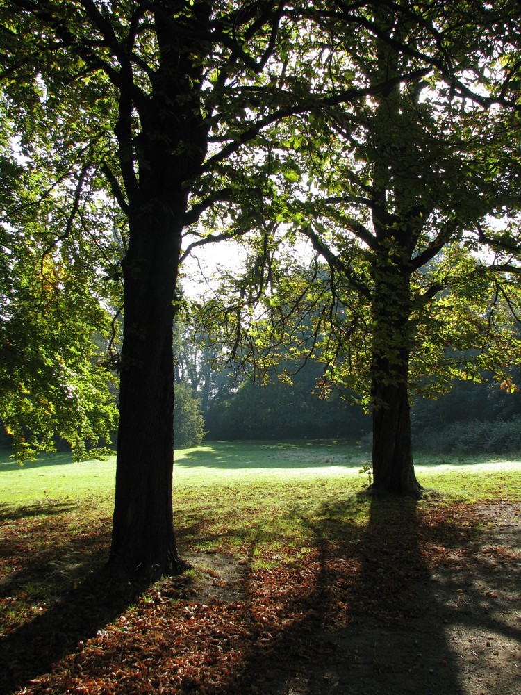 licht und schatten