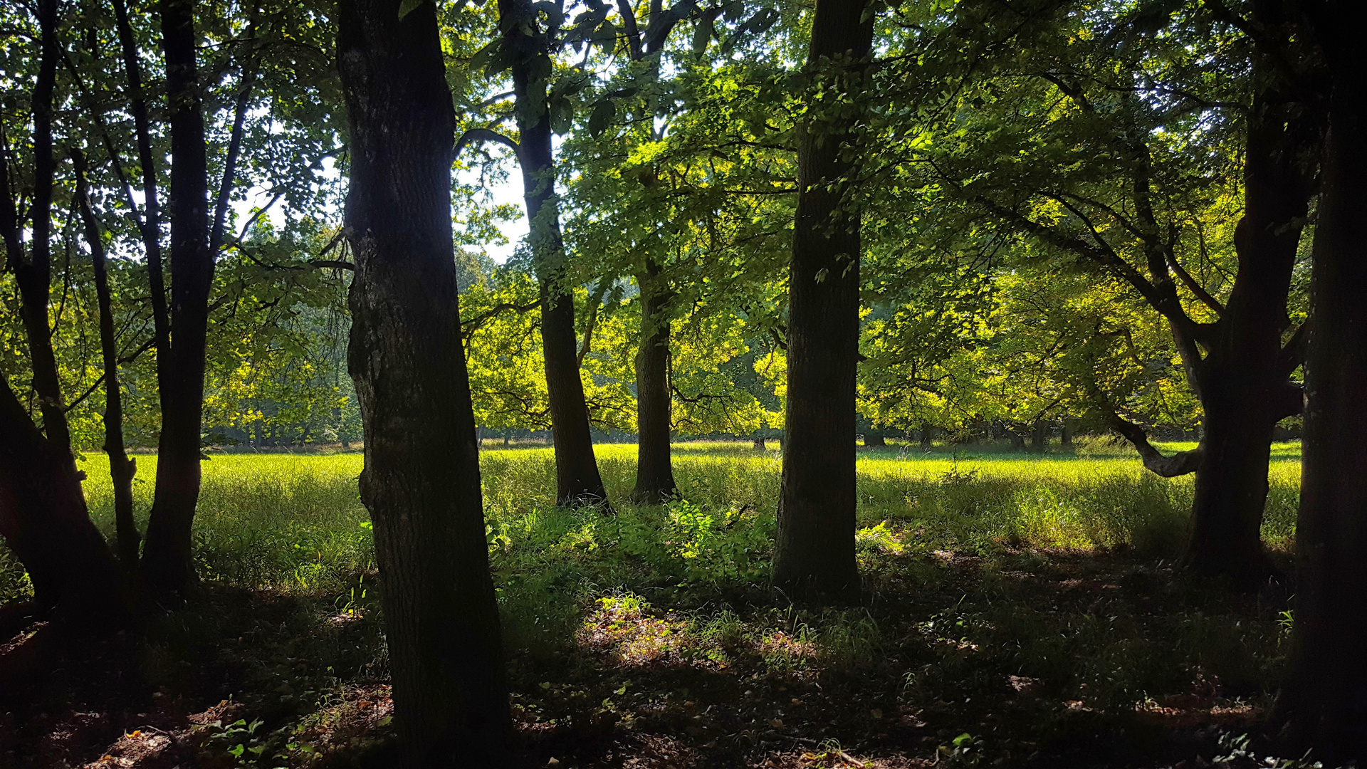 Licht und Schatten