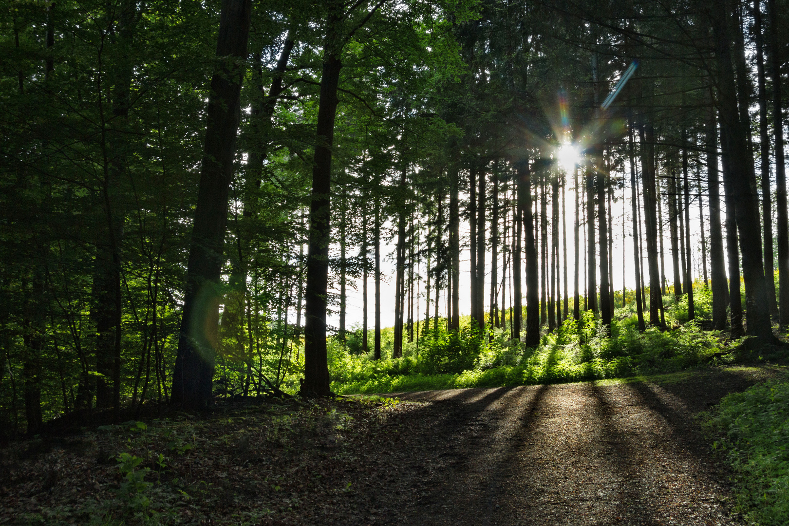 Licht und Schatten