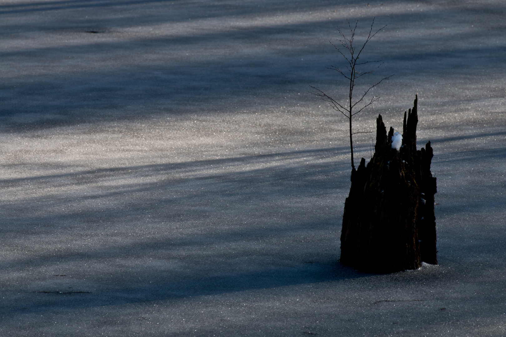 Licht und Schatten