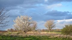 Licht und Schatten