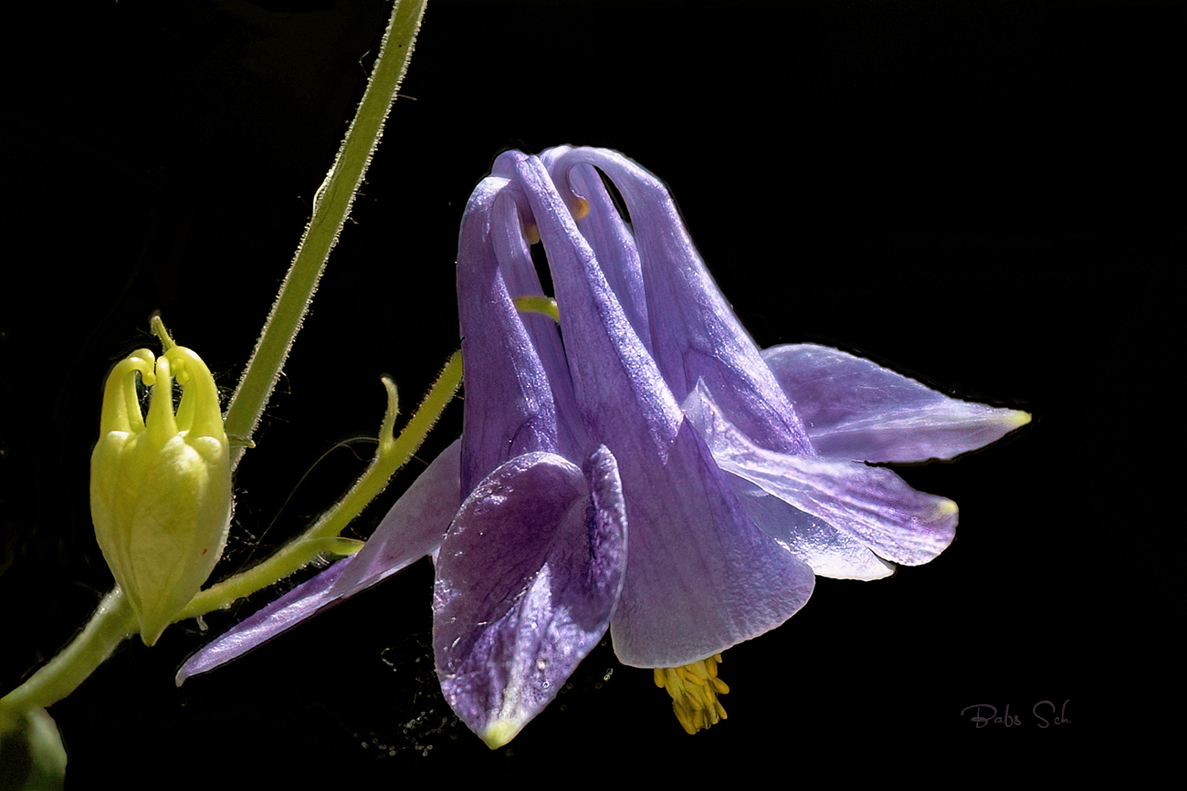 Licht und Schatten