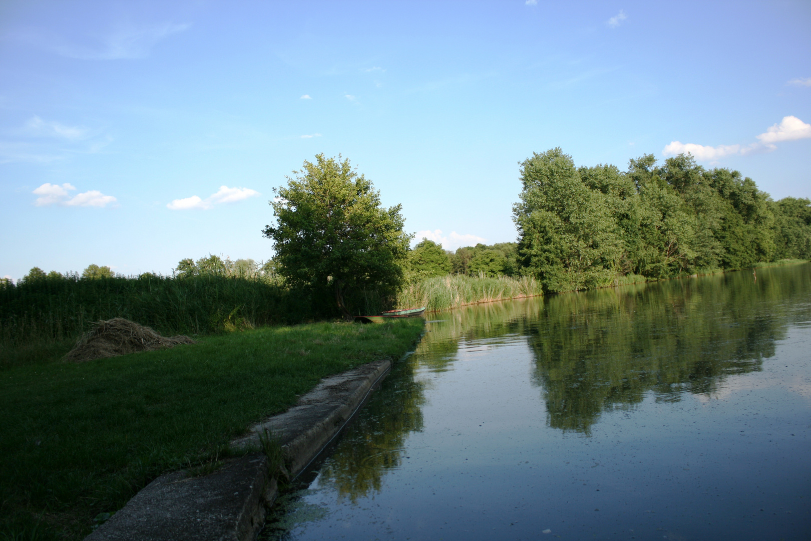 Licht und Schatten am Fischteich