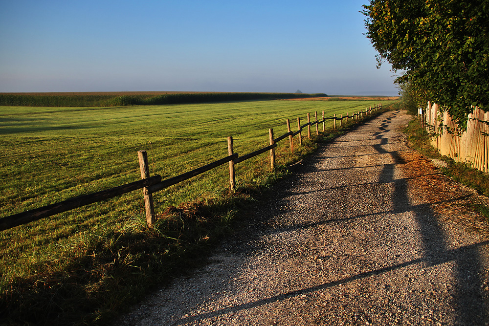 Licht und Schatten am Morgen