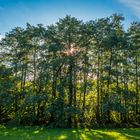 Licht und Schatten am Nachmittag