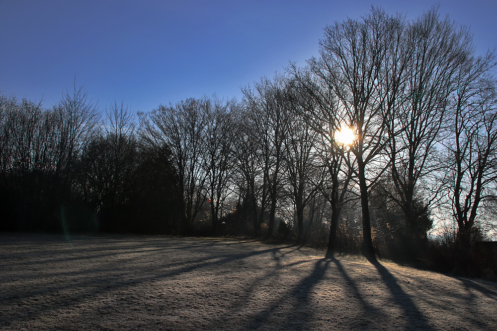 Licht und Schatten am Raureif-Morgen