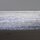 Licht und Schatten am Strand von Sylt