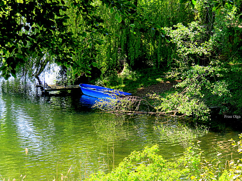 Licht und Schatten am Wasser