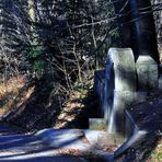 Licht und Schatten auf dem Weg am Wald.....