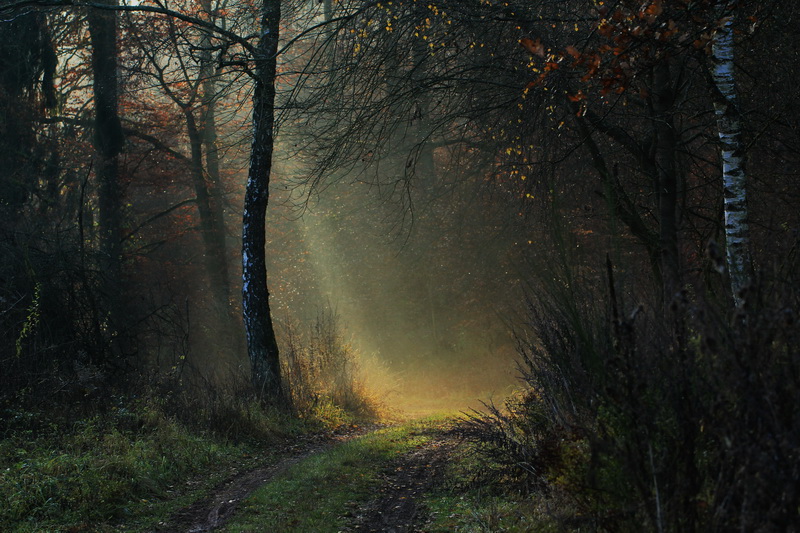 Licht und Schatten auf dem Weg vor mir.