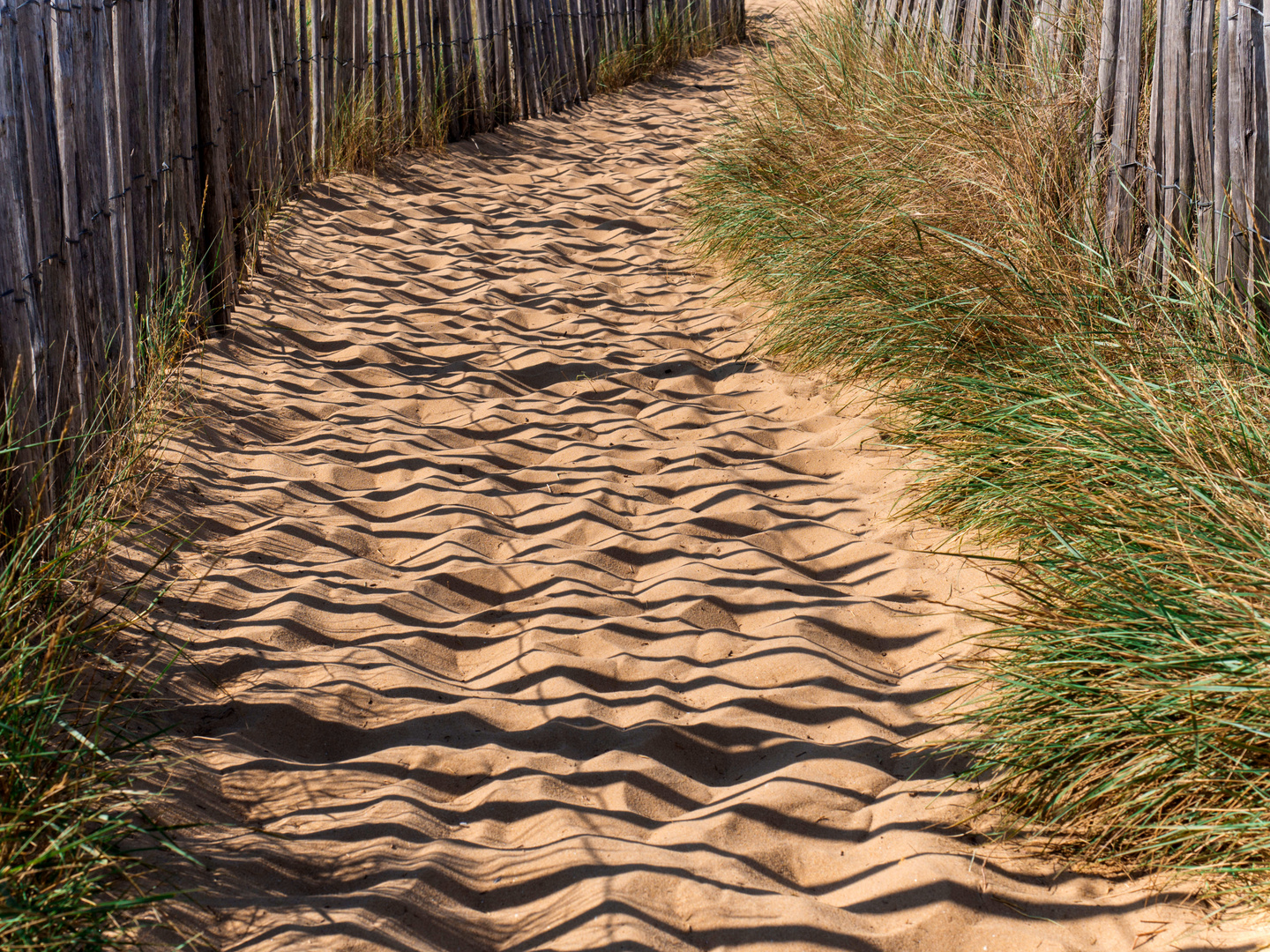 Licht und Schatten auf dem Weg zum Strand