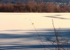 Licht und Schatten auf dem zugefrorenen Freizeitsee.