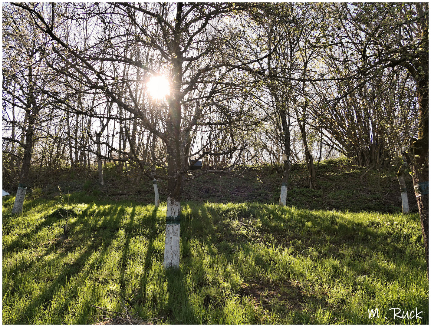 Licht und Schatten auf der Flur ,