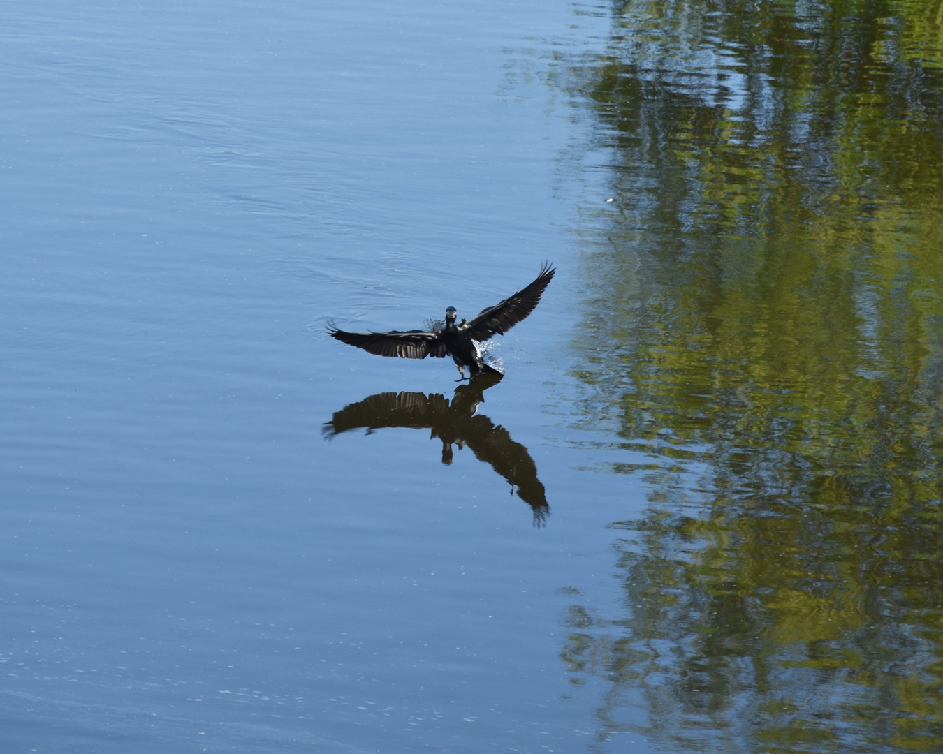 Licht und Schatten aus vogel perspektive