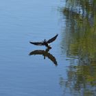 Licht und Schatten aus vogel perspektive