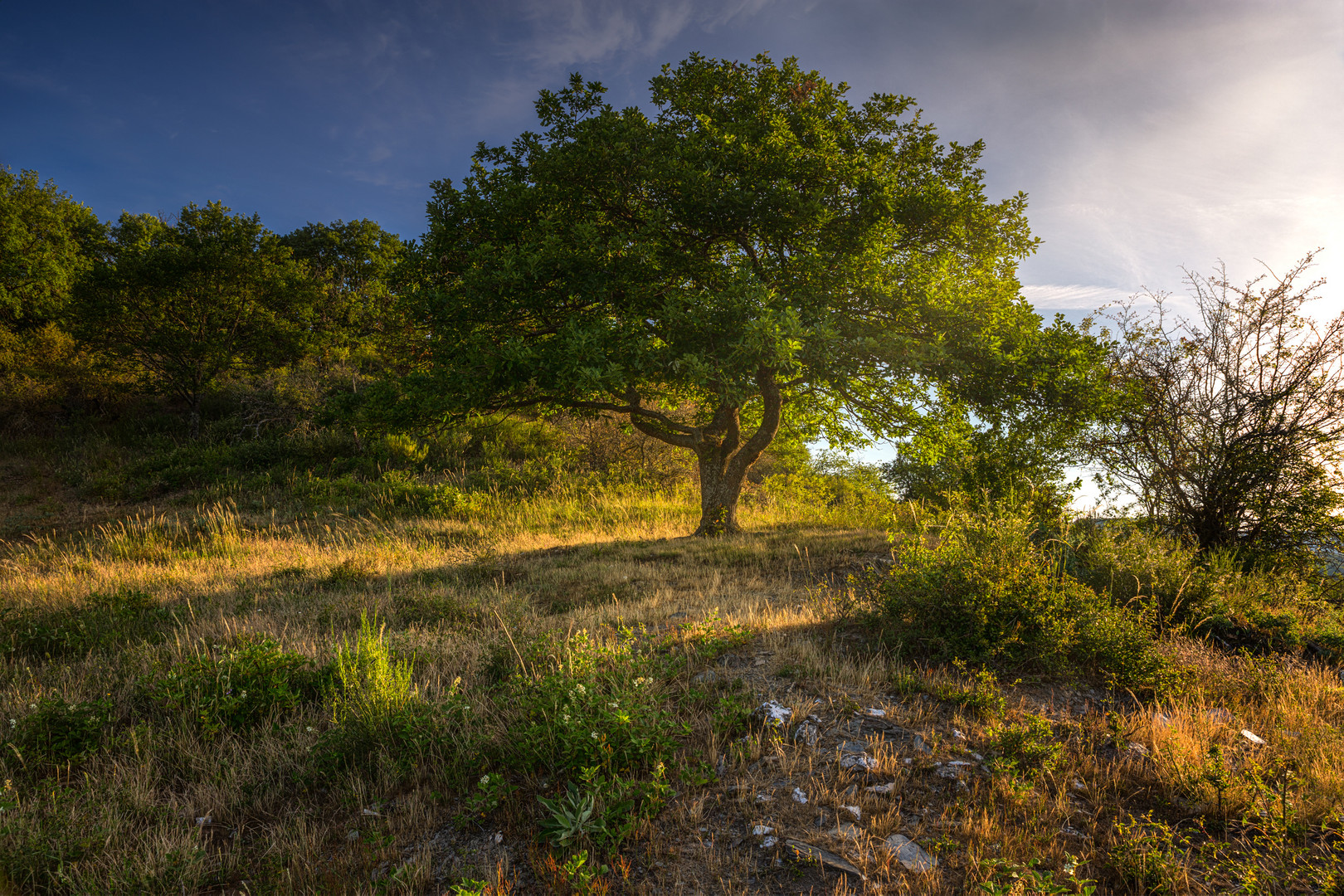 Licht und Schatten